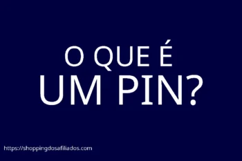 O QUE É UM PIN?